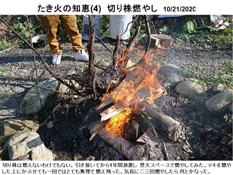 たき火の知恵(4) 切り株は何とか燃える