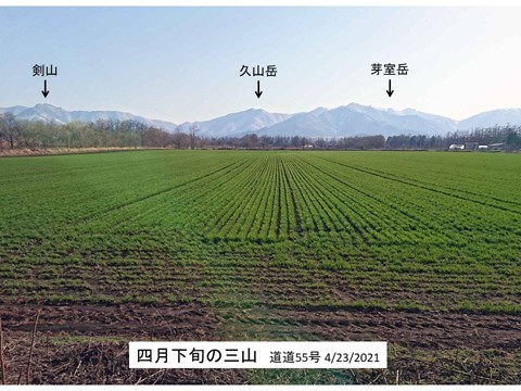 十勝の春 畑と三山(剣山・久山岳・芽室岳)