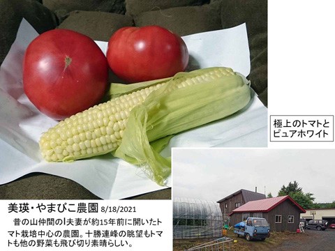 美瑛のやまびこ農園 極上のトマトと野菜