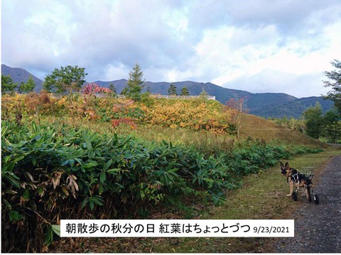 秋分の日 紅葉はちょっとづつ