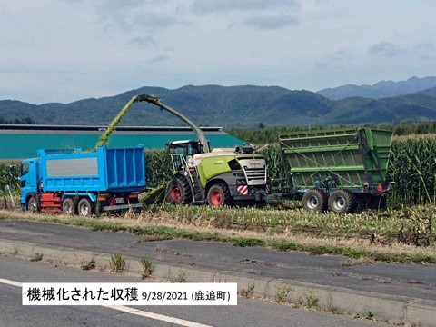 収穫風景 すごい機械化