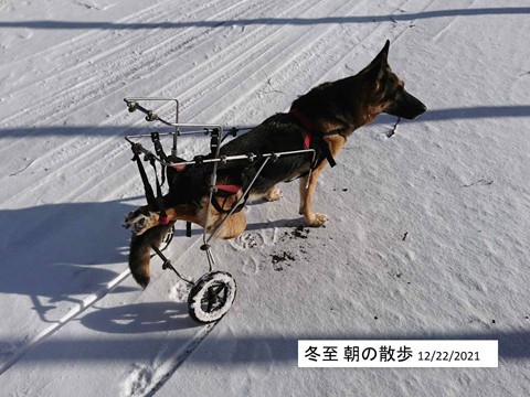 冬至の十勝ヒュッテ 十勝晴れの一日