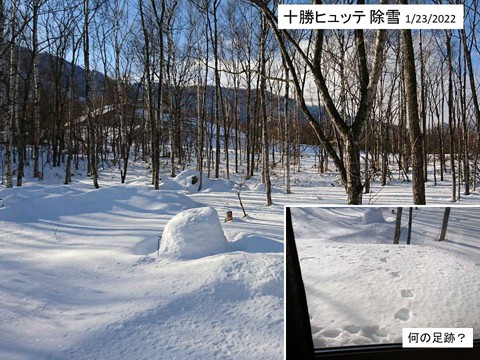 十勝ヒュッテの除雪 50センチ位