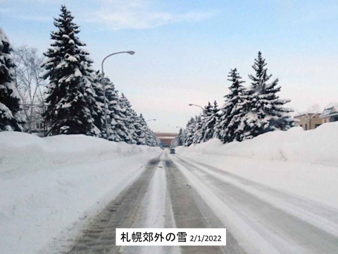 札幌郊外の雪 例年の1.5倍