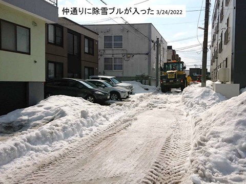 やっと除雪ブルが入ってくれた