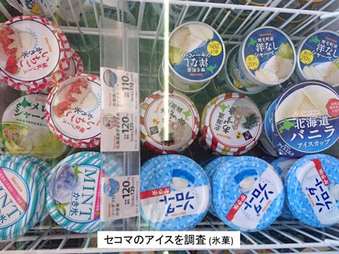 暑い! セコマのアイスを調査