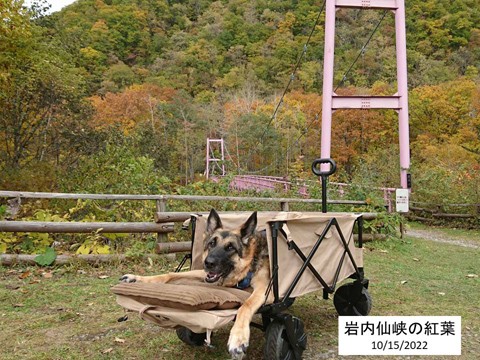 帯広の岩内仙峡 紅葉・黄葉 さすがきれいだ