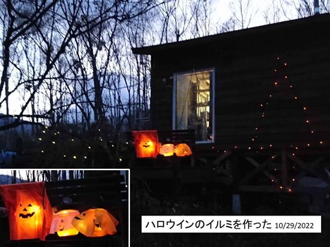 明日はハロウイン イルミ・デコを作ってみた