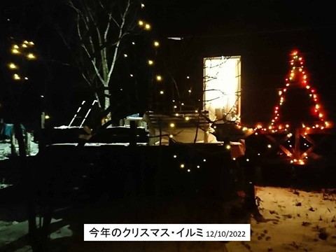 十勝のクリスマス・イルミとお菓子