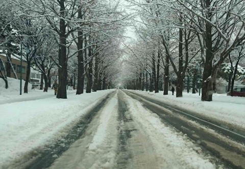 札幌のクリスマスは悪雪?になる