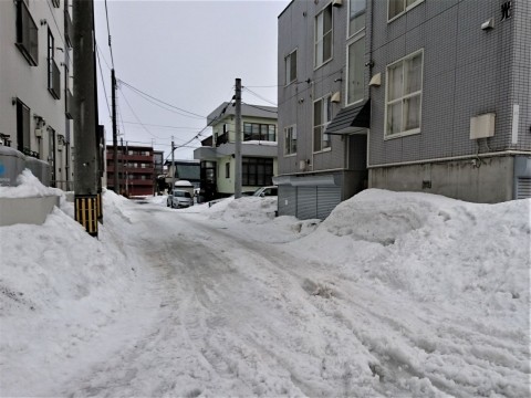 札幌の住宅街の雪解け