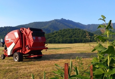 初夏の「剣山登山口」休日朝は登山者多数