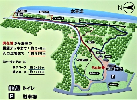 茨城の「鹿島灘海浜公園」 太平洋の眺望良し