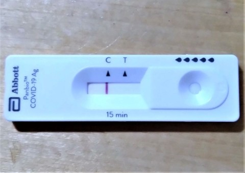 コロナ感染 最近の事情