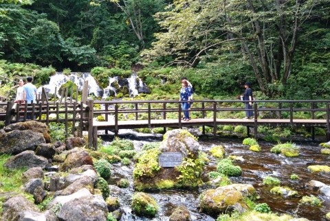 京極のふきだし公園 名水に皆が歓声