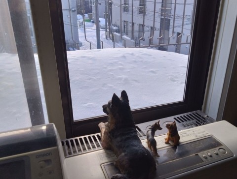 年末の札幌 雪少なし?